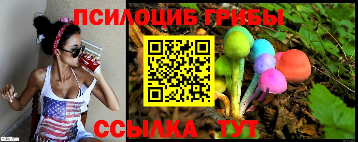 Псилоцибиновые грибы мицелий  Вход с VPN  Владимир 