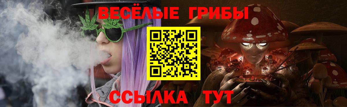 Галлюциногенные грибы мухоморы Владимир